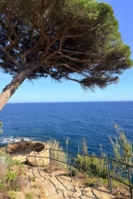 613634848 PLAZA DISPONIBLE EN EL MEJOR CHALET DE VILANOVA 